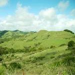 Sibley Volcanic Regional Preserve