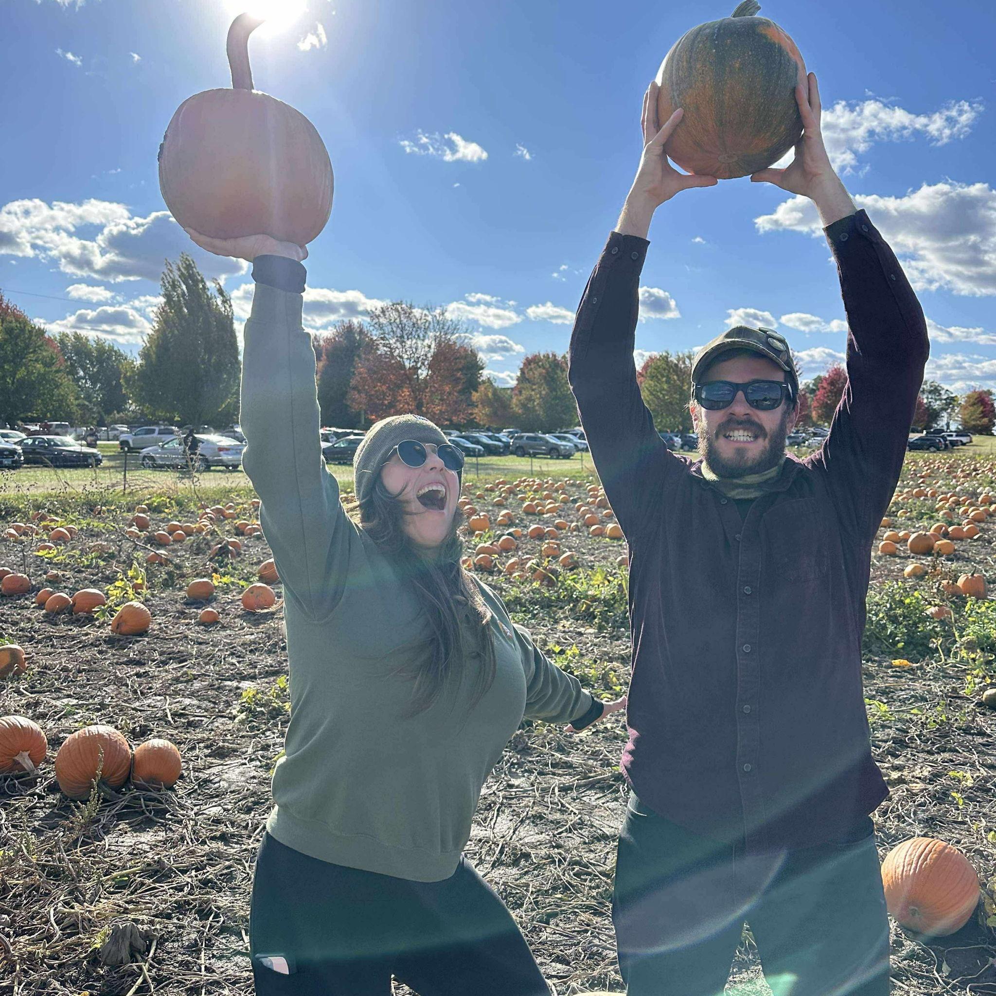 Pumpkin Picking 2025