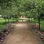Shakespeare Garden, Golden Gate Park
