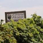 Corning Winery & Vineyard