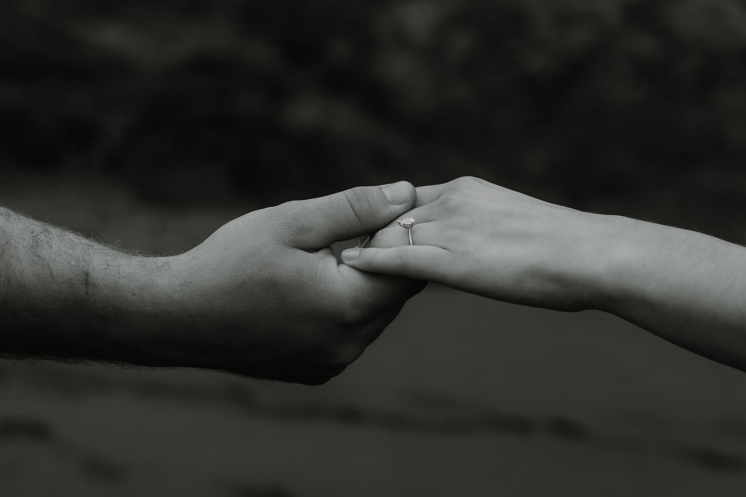 The Wedding Website of Matthew Lee and Abigail Neal