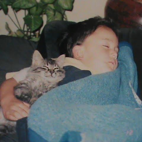 Jesus claims, "I AM NOT OBSESSED WITH CATS" but we know the truth.