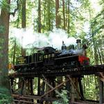 Roaring Camp, Big Trees and Pacific Railroad Station