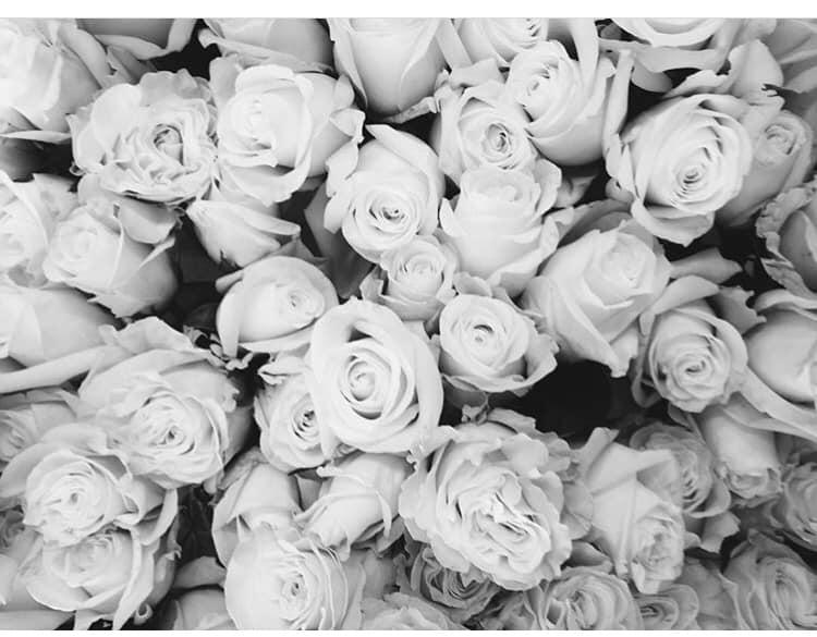 The Wedding Website of Meaghan Ford and Geny Garcia