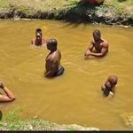 Sulphur Spring