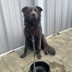 Beer’d Brewing Co. - The Silo