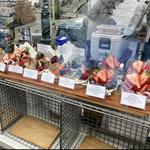 Portland Farmers Market at PSU