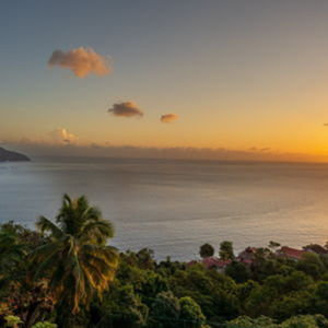 Honeymoon ♥