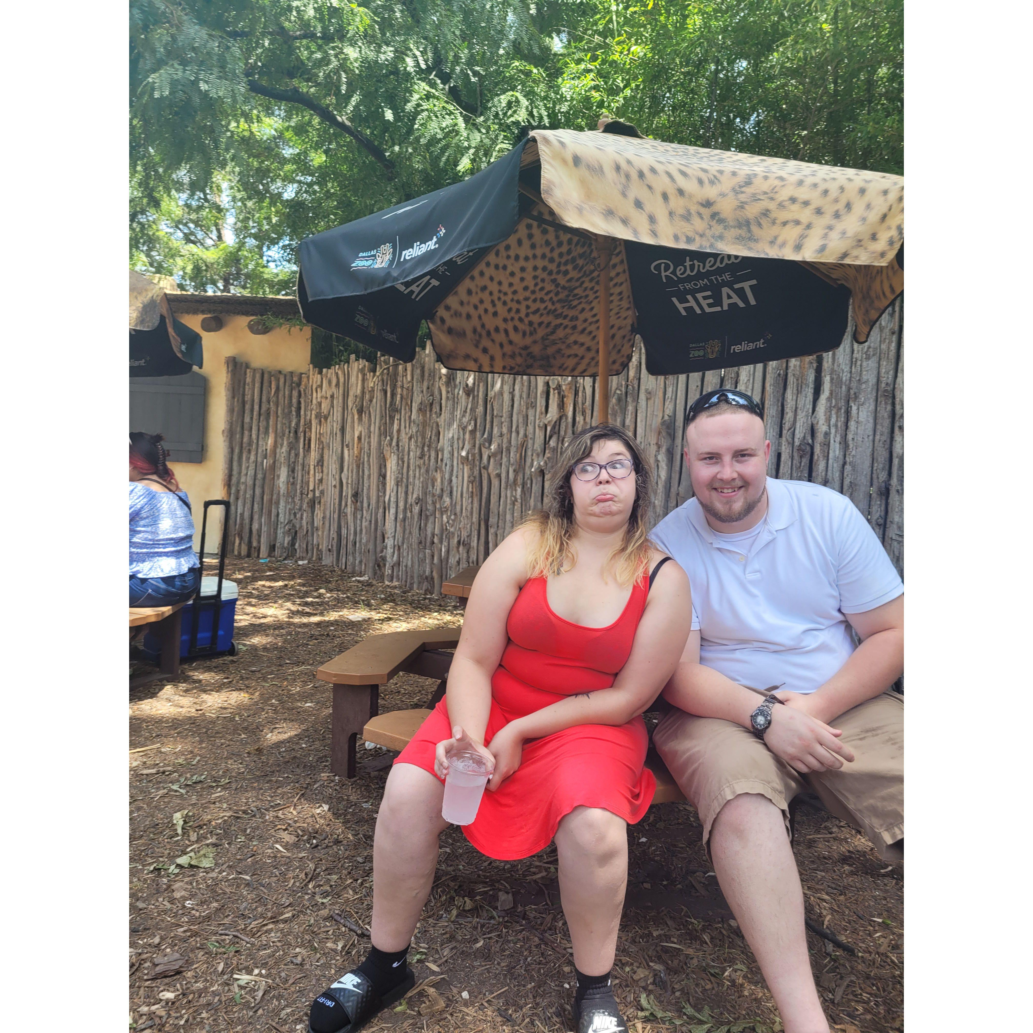 The zoo for Haileys Birthday