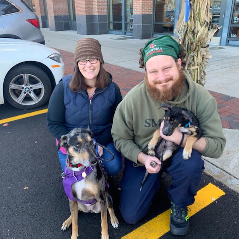 The day we got Freddie. - November 2019