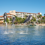 Dolphin Discovery Puerto Aventuras