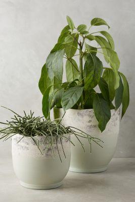 Seafoam Pot