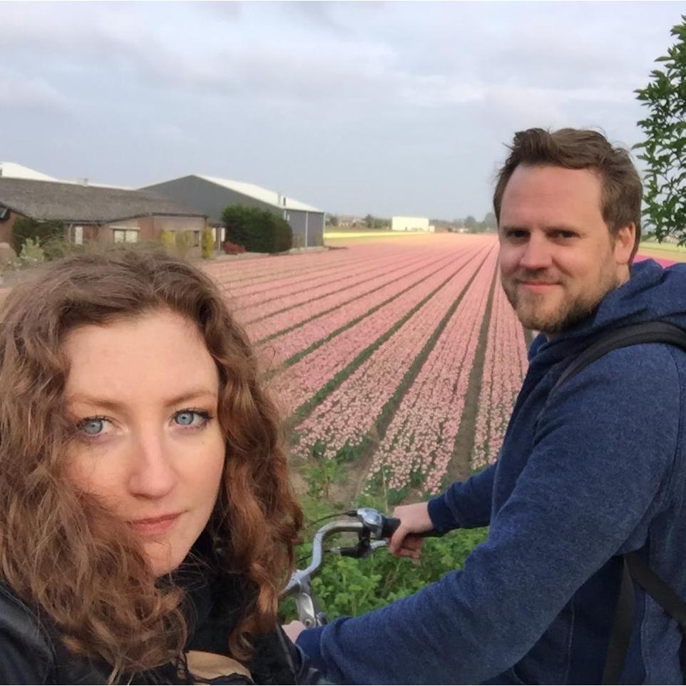 Tulip fields, the Netherlands