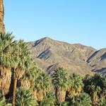 Indian Canyons