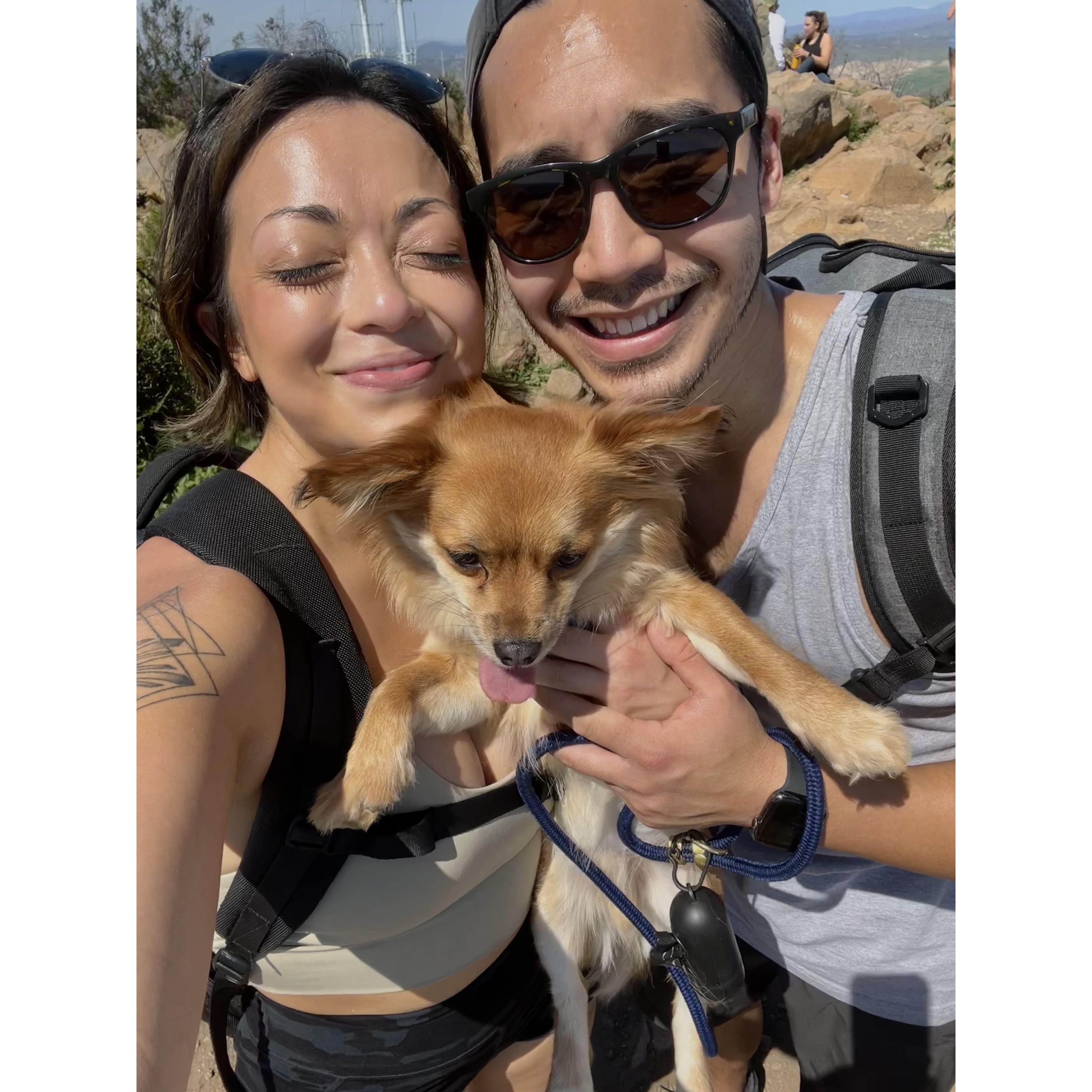 adopted Harlem!!!! & took him on hikes and saturday mornings at the dog park <3