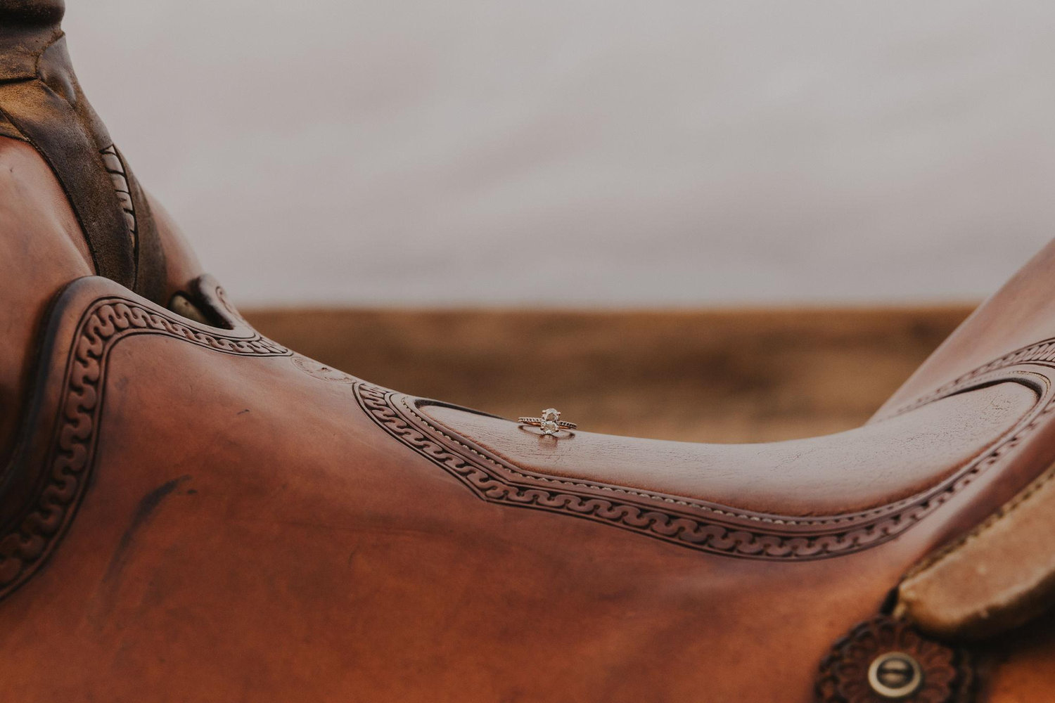 The Wedding Website of Megan Wanchuk and Joshua Gould