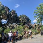 Disney's Animal Kingdom Theme Park