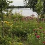 Sara Park swim beach and volleyball