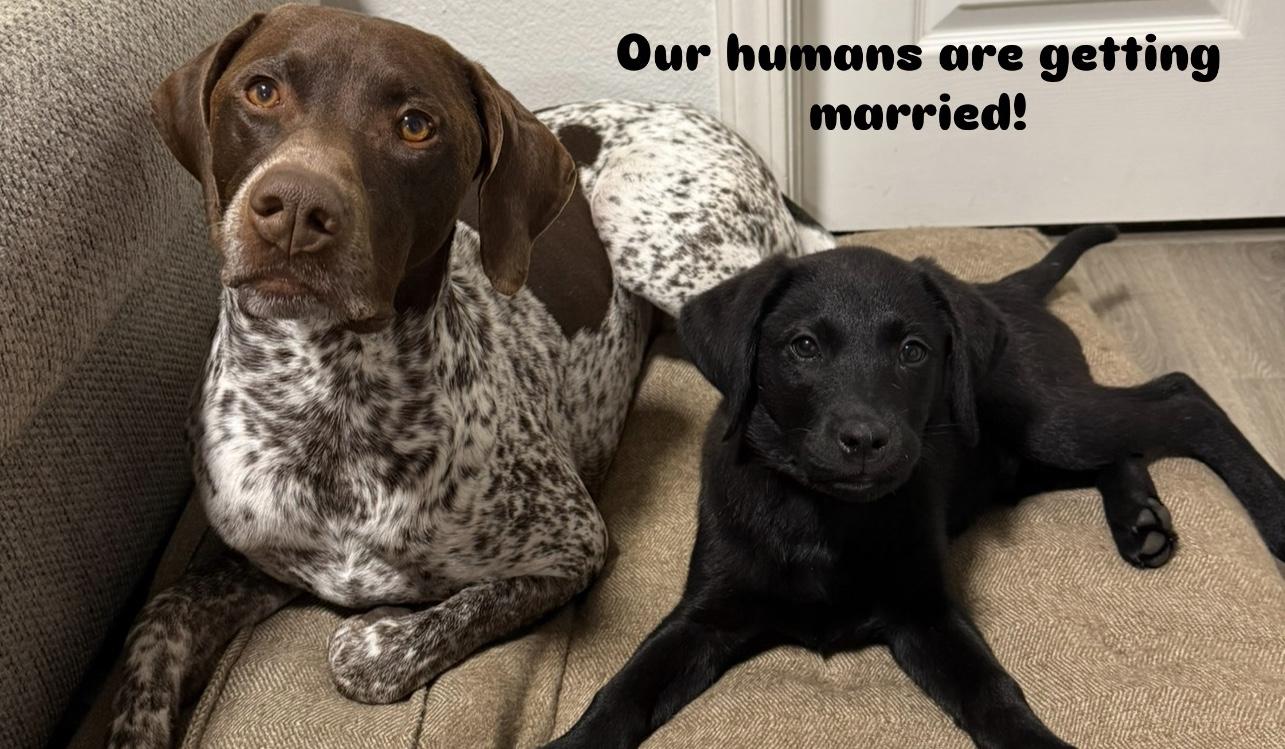 The Wedding Website of Cassandra Findley and Patrick Andersen