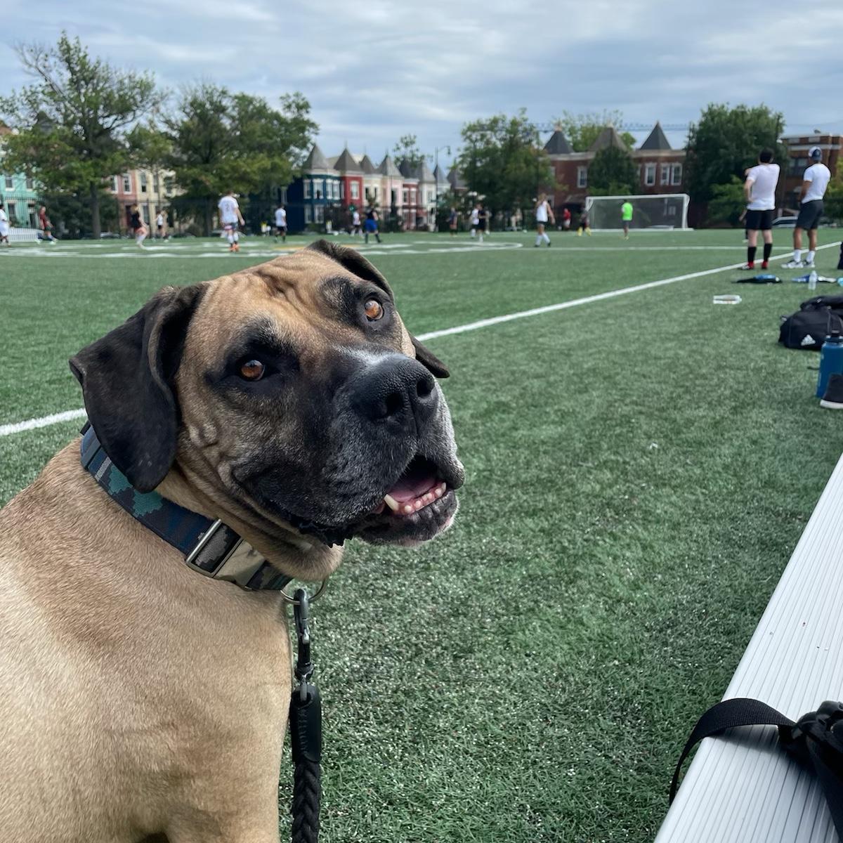 Watching his mama play soccer