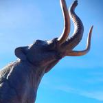 Denver Museum of Nature & Science