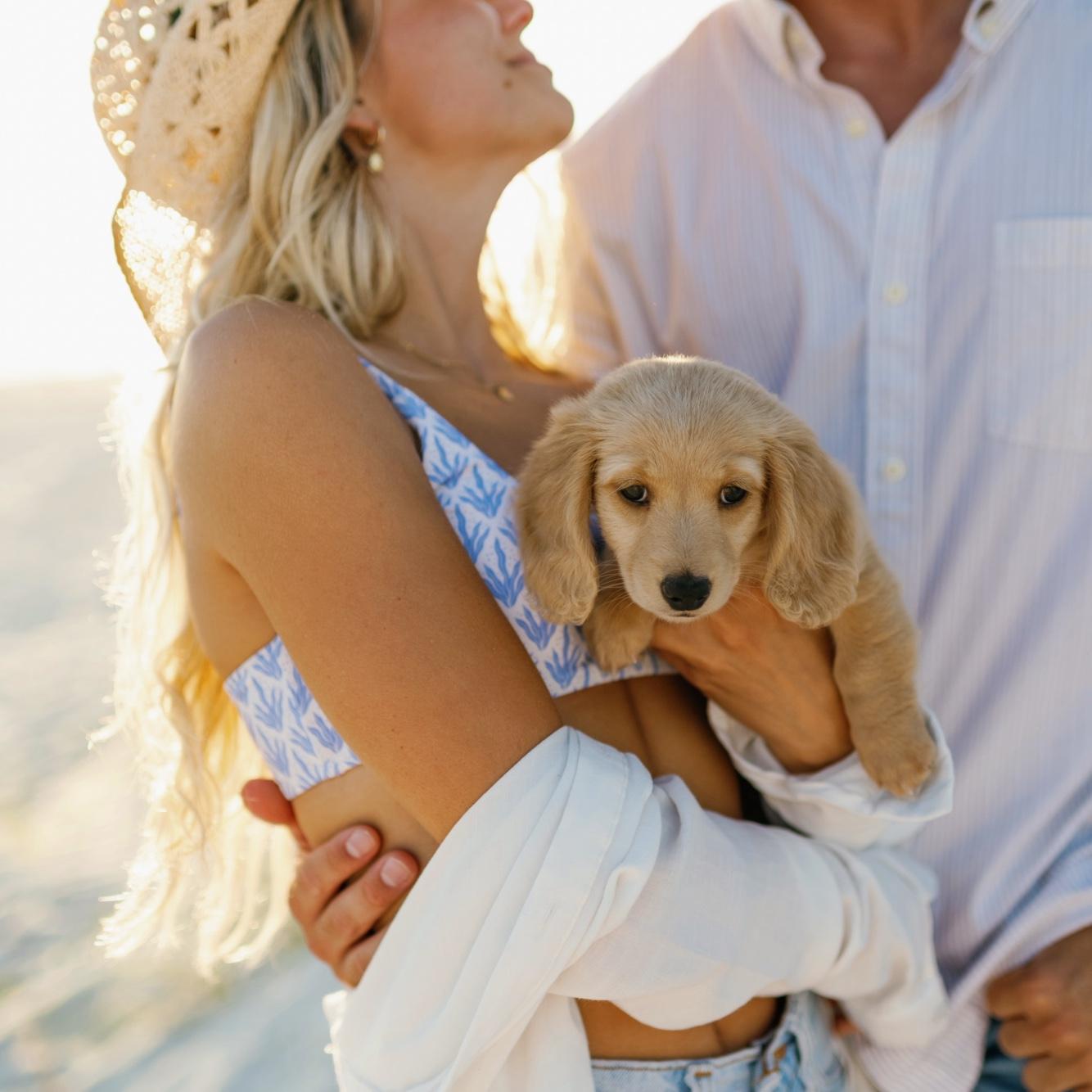 April 2024
We got our Kinni gal. She’s named after the Kinnickinnic River as an homage to River Falls.