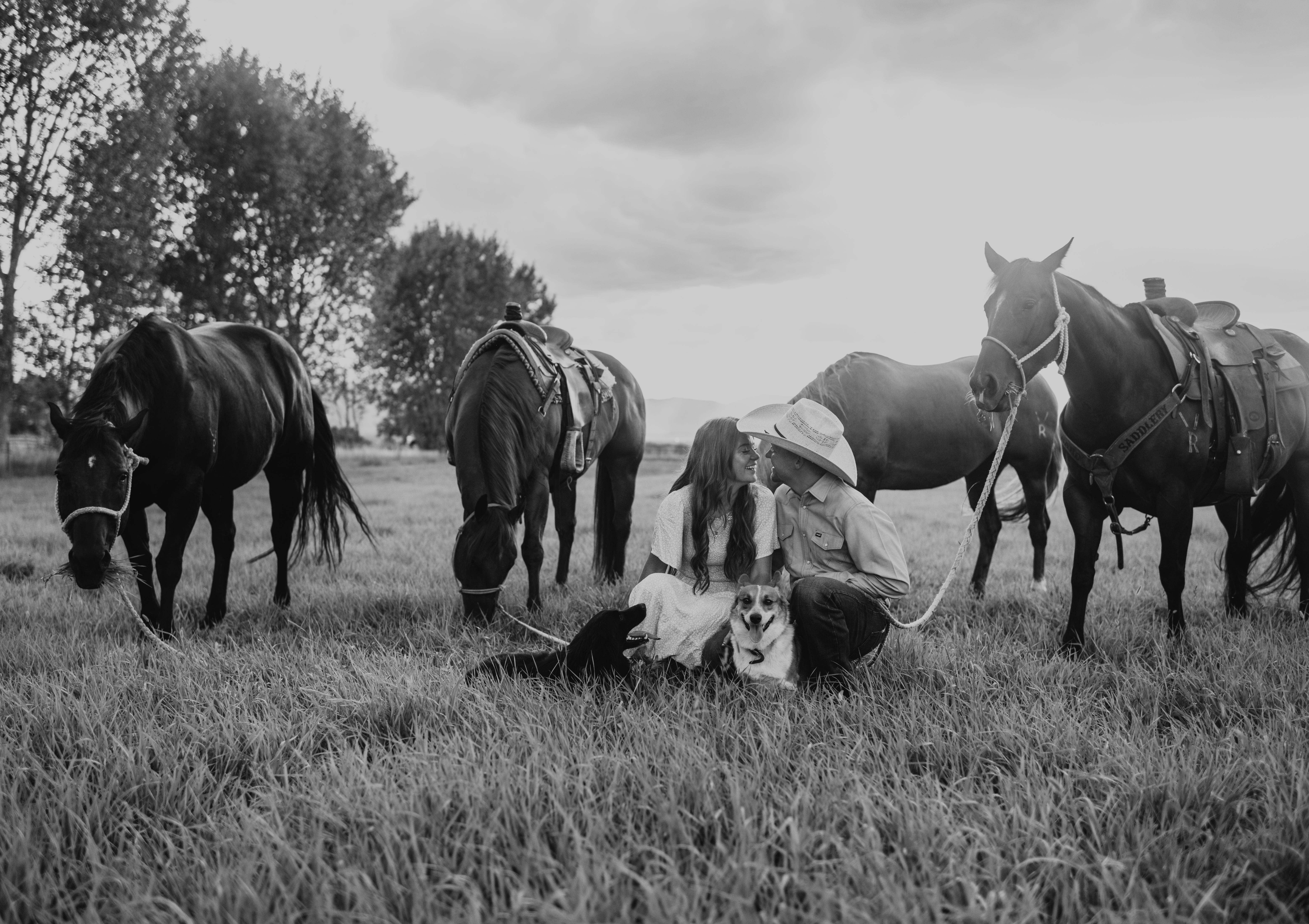 The Wedding Website of Toni Gross and Nicholas Rice