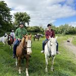 Abbeyfield Farm Country Pursuits, Equestrian and Activity Centre