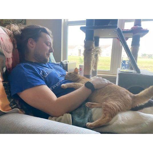 Justin and Eowyn.
Eowyn was adopted from PetSmart by Rebecca in 2019.