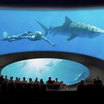 Aquarium of the Pacific