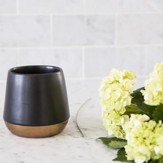 Joey Double Walled Mug, 8 oz