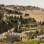 Mount of Olives