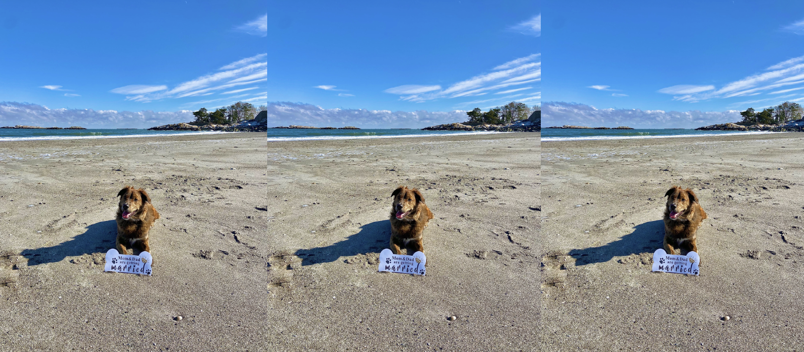 fb0506ed-3f88-4274-937f-8c29f8c545b5