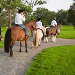 Salamander Resort & Spa