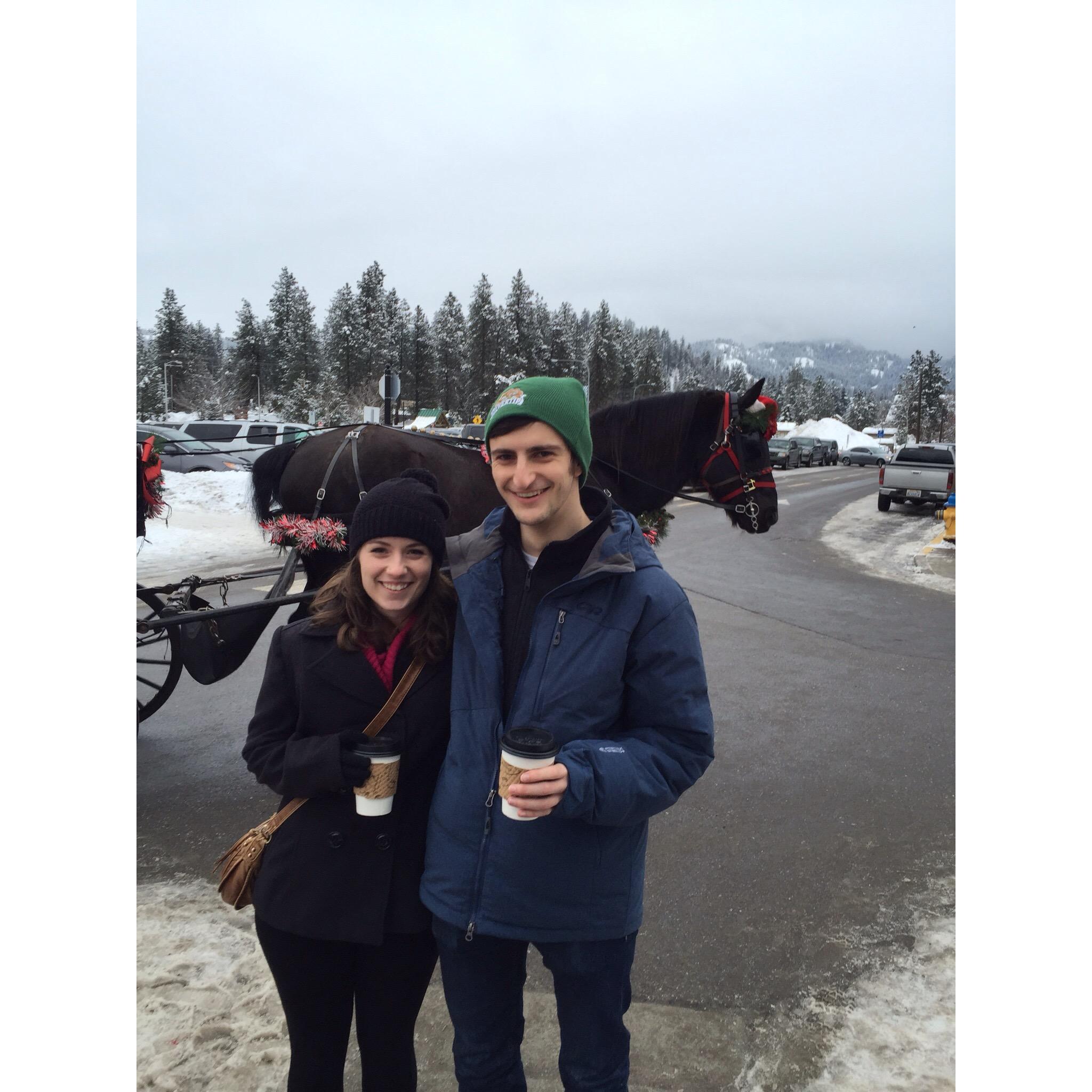 Leavenworth, Winter 2015