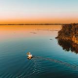 Danube Delta