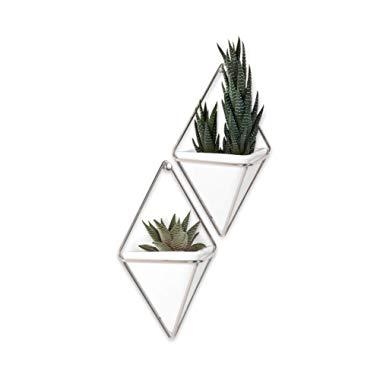 Umbra Trigg Hanging Planter Wall Decor Set, for Displaying Small Plants, Pens and Pencils, Makeup Accessories, White/Nickel