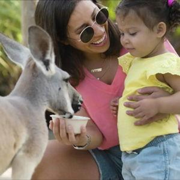 Brevard Zoo Membership