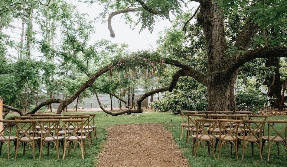 The Wedding Website of Dave Wissman and Cassandra Spratt