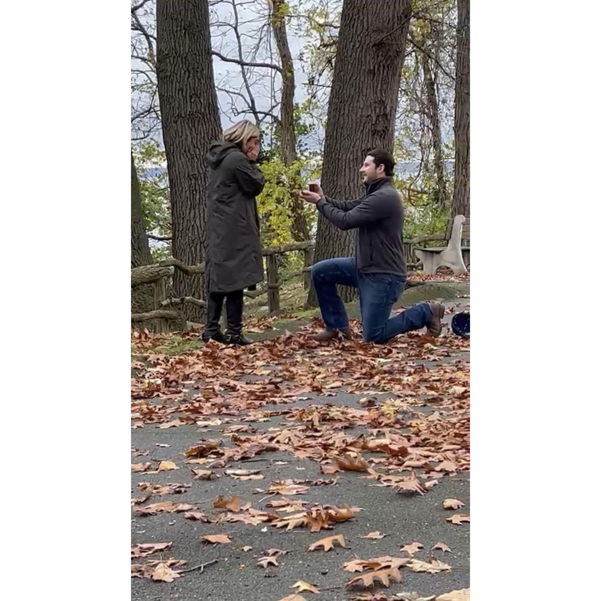 2022 - The proposal!