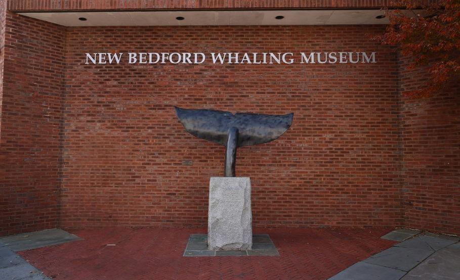 The Wedding Website of Lily (Elizabeth) McDonagh and Jackson Oliva