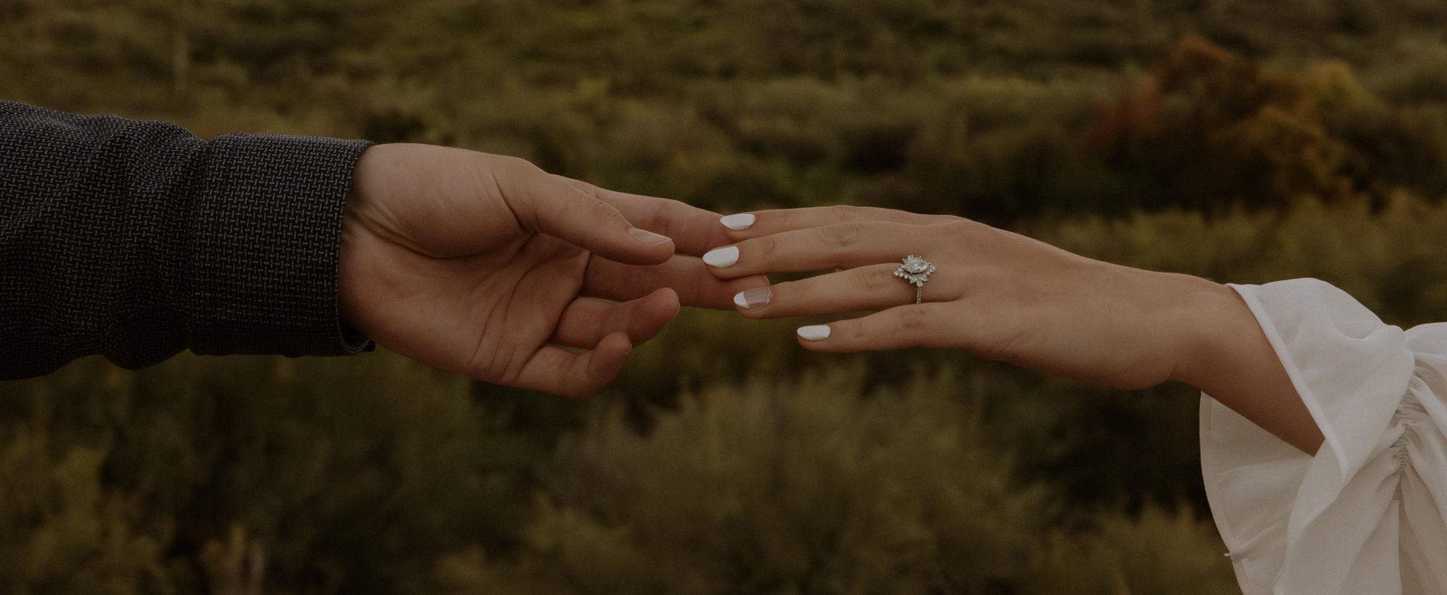 The Wedding Website of Isabella Mendoza and Brendan Salcido