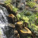 Garden Conservatory at the Gaylord Opryland