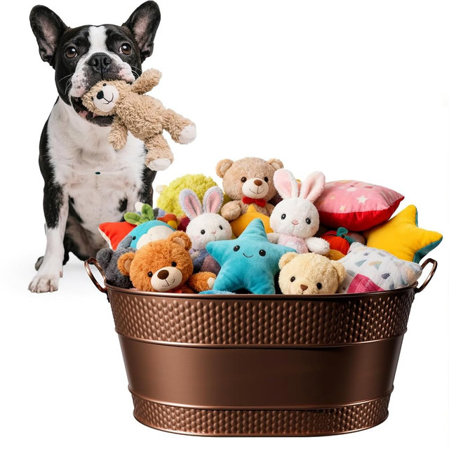 BluPup Indestructible Metal Dog Toy Bin: Pet Toy Box Storage Basket for Living Room Area, Beautiful Design and Perfect Size 25-Quart (1 Pack, Oval)