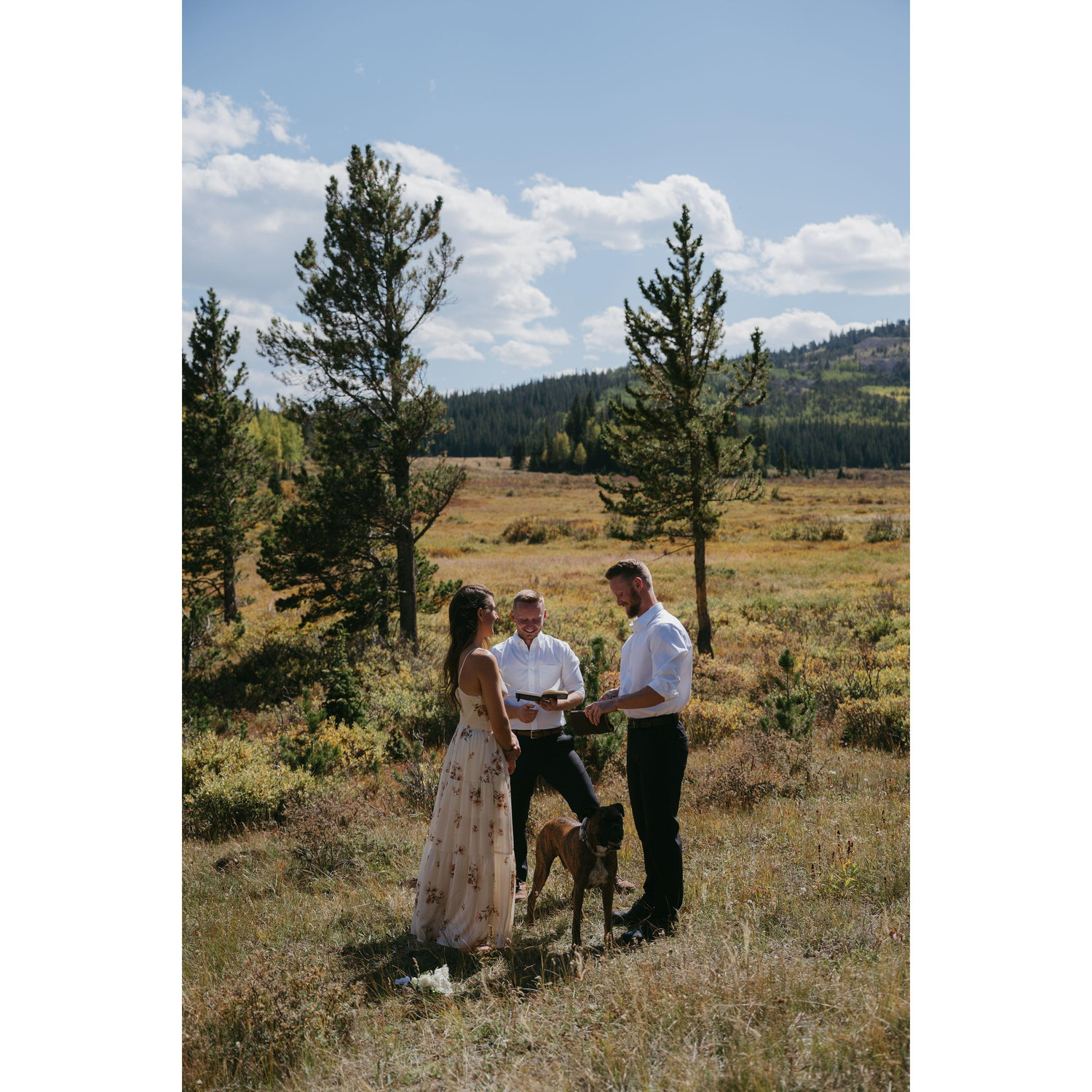 the ceremony & backdrop