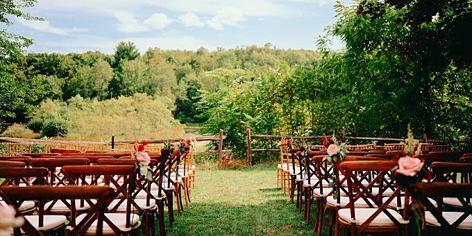 The Wedding Website of Dora Danko and Owen Cooper
