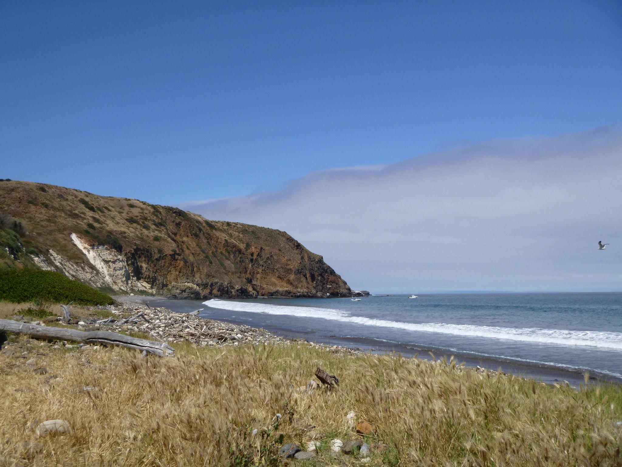 The Wedding Website of Brilliant Hua and Brendan Corcoran