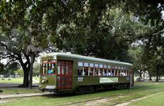 See the City on the St. Charles or Canal St. Streetcar