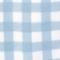 Gingham Blue