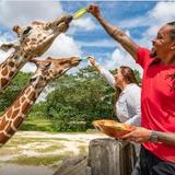 Zoo Miami